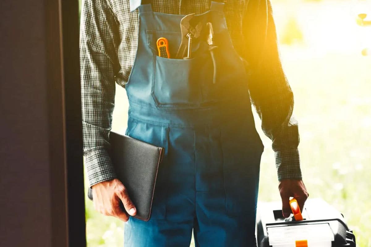 When Professional Expertise Is the Best Option